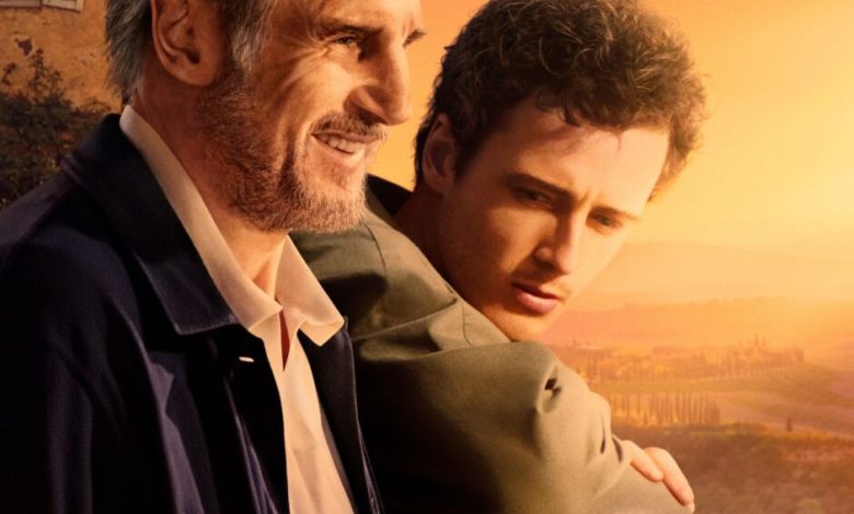 Ritorno in Italia - Liam Neeson recita in un film visivamente bello ma vuoto... - Stilista da donna