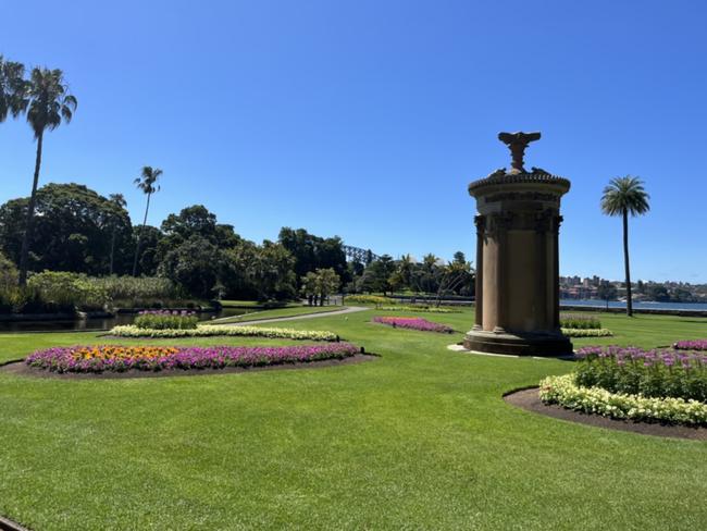 Una vista dei giardini botanici di Sydney.