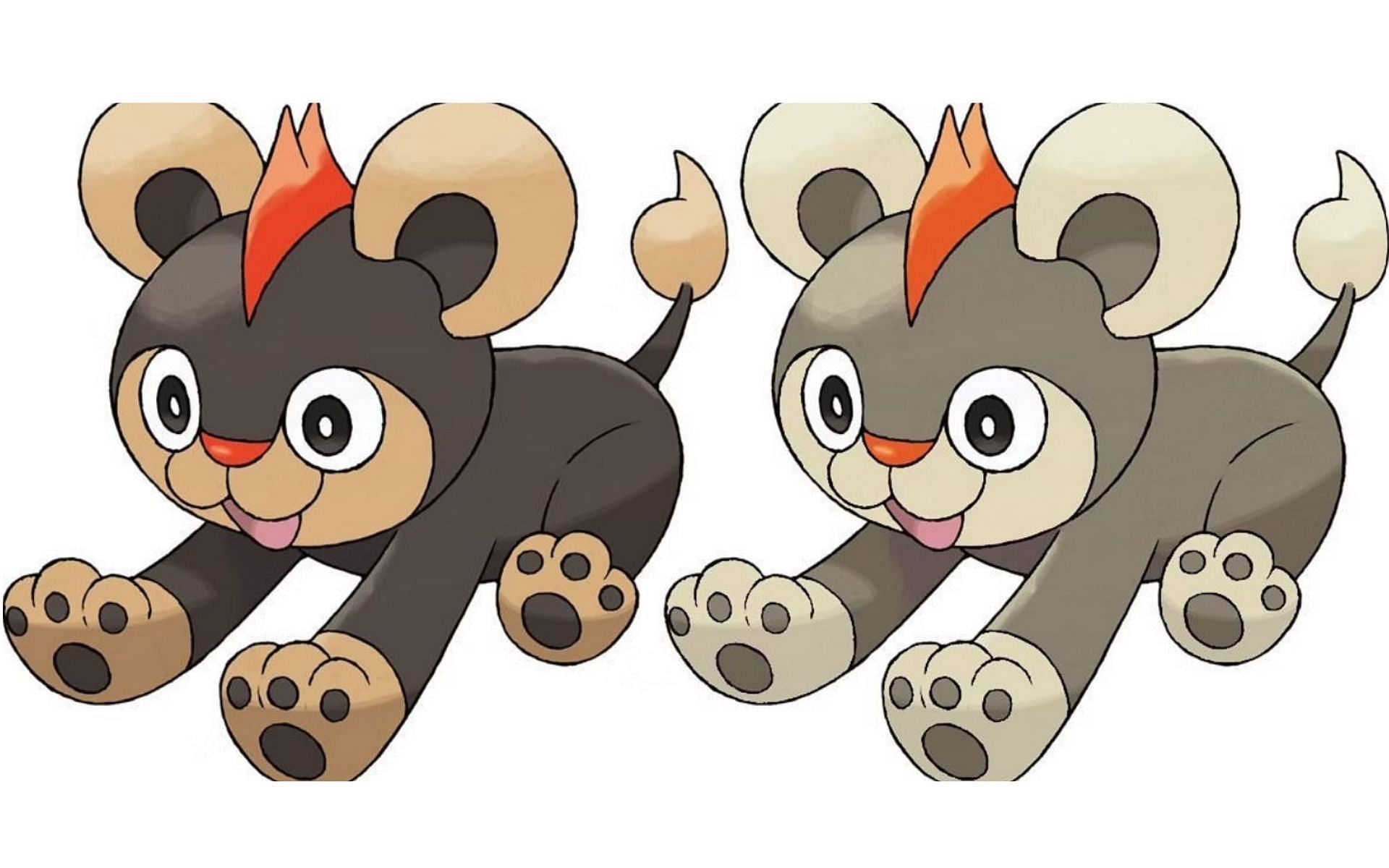 L'arte ufficiale di Littleo, inclusa la sua forma brillante (Immagine tramite The Pokemon Company)